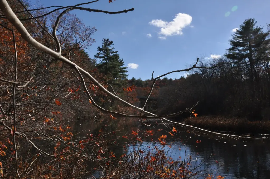 Woonasquatucket River near Washington Highway in Smithfield, Rhode Island
